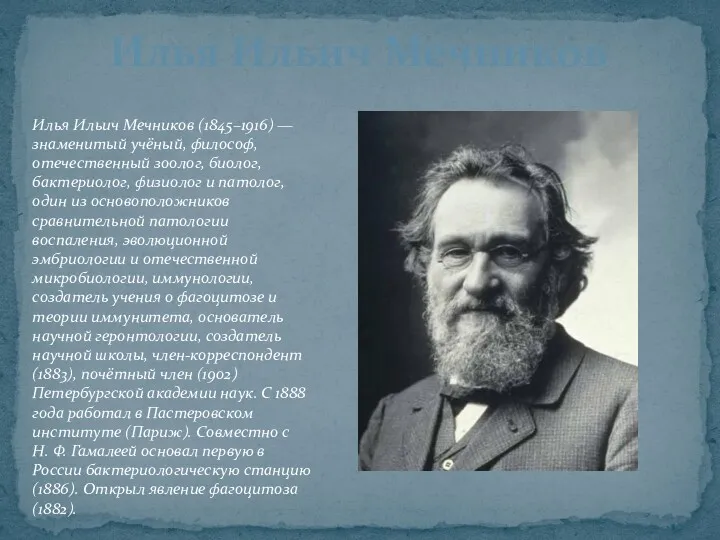 Илья Ильич Мечников Илья Ильич Мечников (1845–1916) — знаменитый учёный, философ, отечественный зоолог,