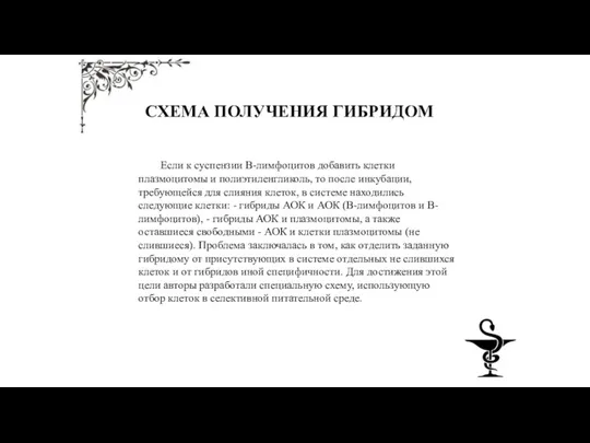 СХЕМА ПОЛУЧЕНИЯ ГИБРИДОМ Если к суспензии В-лимфоцитов добавить клетки плазмоцитомы