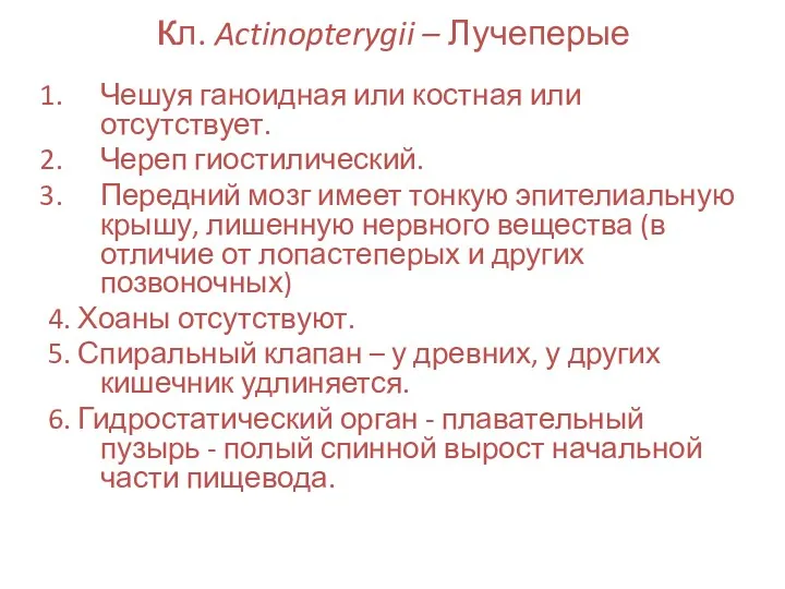 кл. Actinopterygii – Лучеперые Чешуя ганоидная или костная или отсутствует.