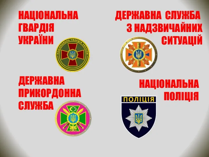 НАЦІОНАЛЬНА ГВАРДІЯ УКРАЇНИ ДЕРЖАВНА ПРИКОРДОННА СЛУЖБА ДЕРЖАВНА СЛУЖБА З НАДЗВИЧАЙНИХ СИТУАЦІЙ НАЦІОНАЛЬНА ПОЛІЦІЯ