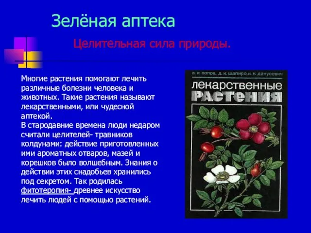 Зелёная аптека Целительная сила природы. Многие растения помогают лечить различные