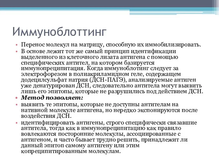 Иммуноблоттинг Перенос молекул на матрицу, способную их иммобилизировать. В основе