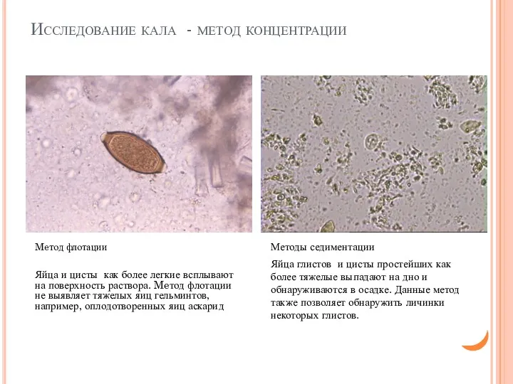 Исследование кала - метод концентрации Meтод флотации Яйца и цисты