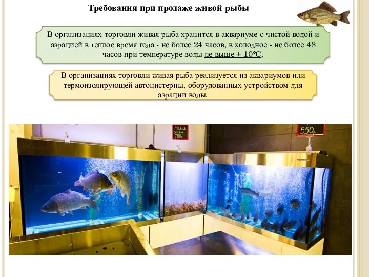 Требования при продаже живой рыбы В организациях торговли живая рыба хранится в аквариуме