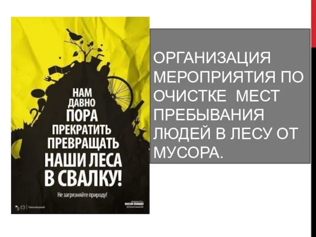 ОРГАНИЗАЦИЯ МЕРОПРИЯТИЯ ПО ОЧИСТКЕ МЕСТ ПРЕБЫВАНИЯ ЛЮДЕЙ В ЛЕСУ ОТ МУСОРА.