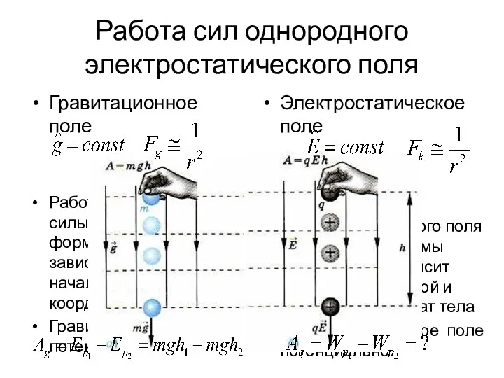 Гравитационное поле Работа гравитационной силы не зависит от формы траектории,