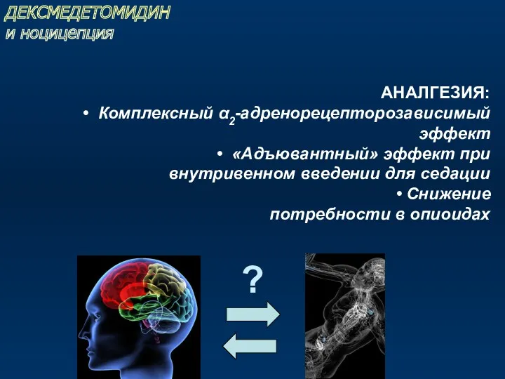 ? ДЕКСМЕДЕТОМИДИН и ноцицепция АНАЛГЕЗИЯ: Комплексный α2-адренорецепторозависимый эффект «Адъювантный» эффект при внутривенном введении