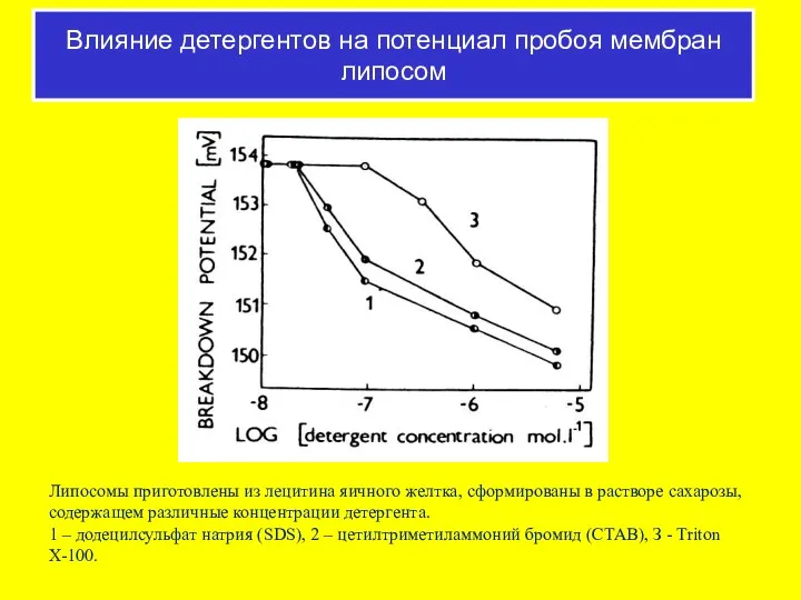 Липосомы приготовлены из лецитина яичного желтка, сформированы в растворе сахарозы,