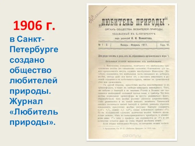 1906 г. в Санкт-Петербурге создано общество любителей природы. Журнал «Любитель природы».