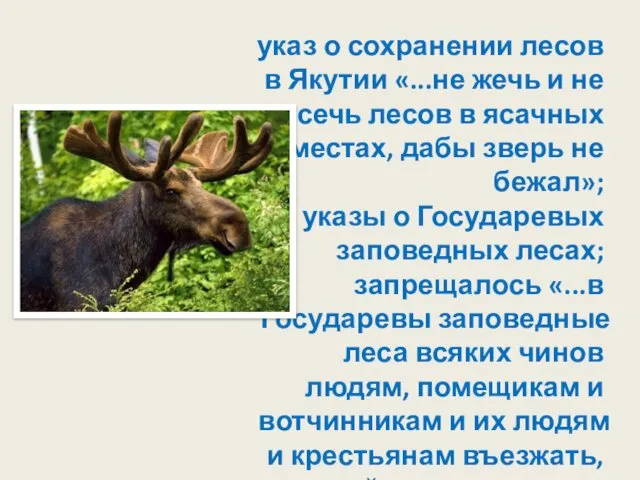 указ о сохранении лесов в Якутии «...не жечь и не сечь лесов в