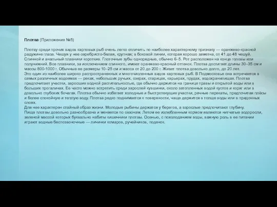 Плотва (Приложение №5) Плотву среди прочих видов карповых рыб очень