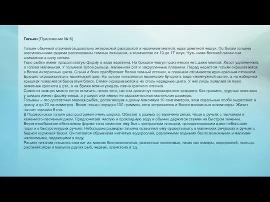 Гольян (Приложение № 6) Гольян обычный отличается довольно интересной раскраской