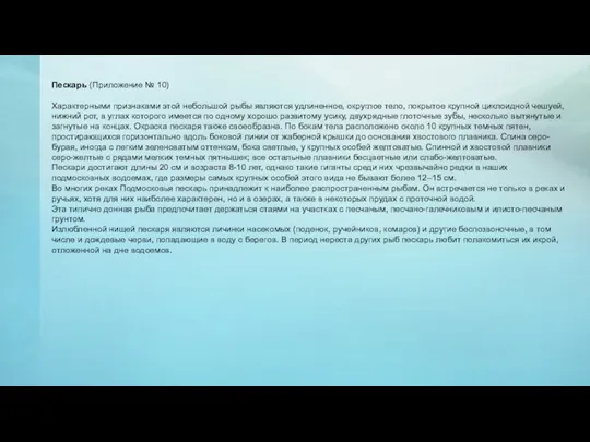 Пескарь (Приложение № 10) Характерными признаками этой небольшой рыбы являются