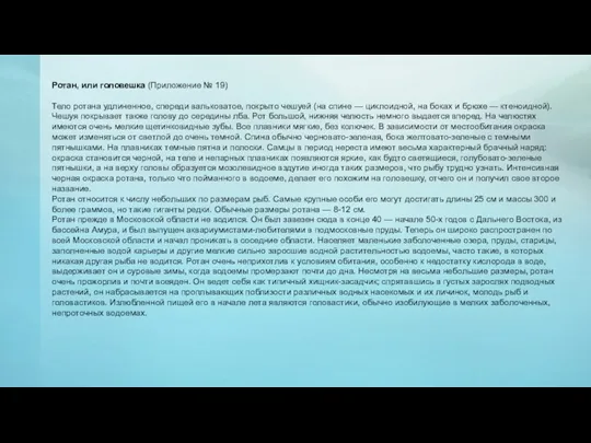 Ротан, или головешка (Приложение № 19) Тело ротана удлиненное, спереди