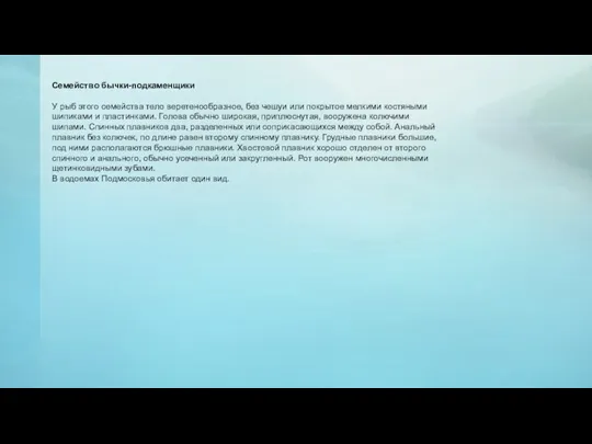 Семейство бычки-подкаменщики У рыб этого семейства тело веретенообразное, без чешуи