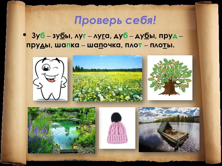 Проверь себя! Зуб – зубы, луг – луга, дуб –