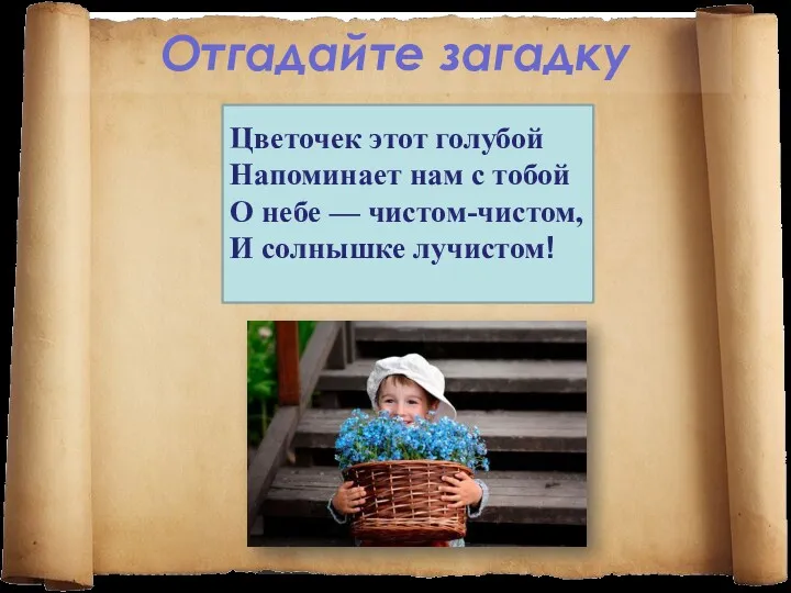 Отгадайте загадку Цветочек этот голубой Напоминает нам с тобой О небе — чистом-чистом, И солнышке лучистом!