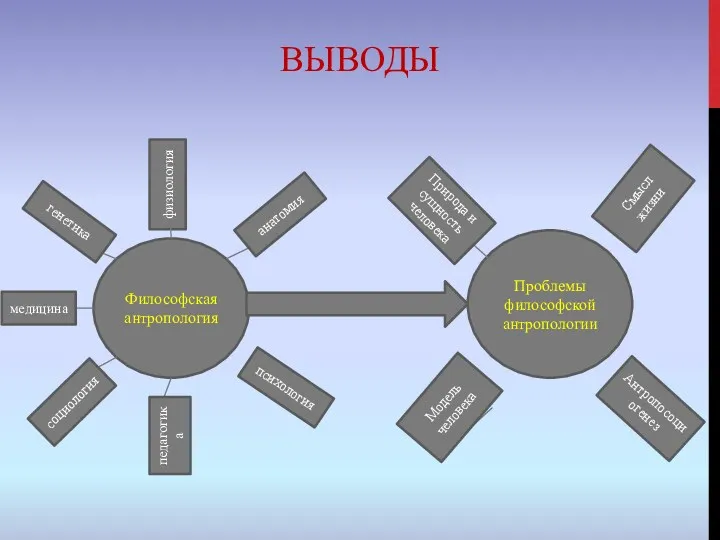 ВЫВОДЫ Философская антропология Проблемы философской антропологии физиология генетика анатомия медицина