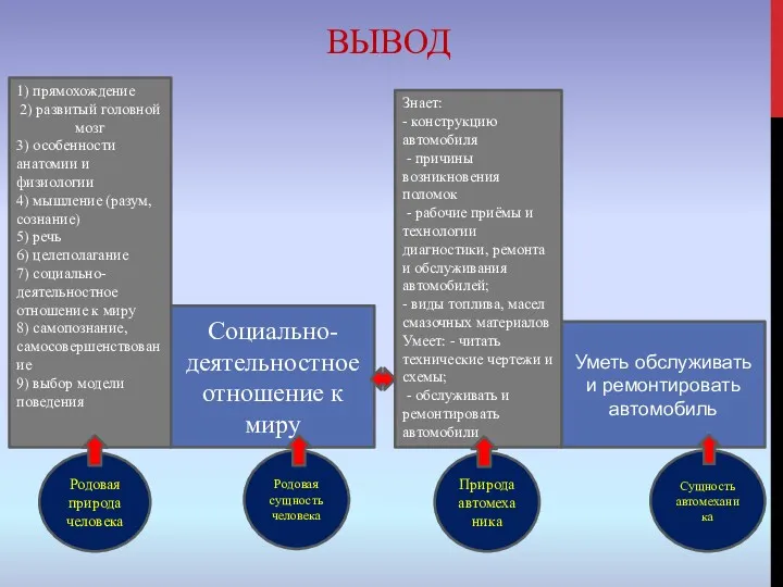 ВЫВОД 1) прямохождение 2) развитый головной мозг 3) особенности анатомии