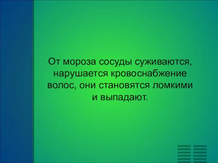 От мороза сосуды суживаются, нарушается кровоснабжение волос, они становятся ломкими и выпадают.