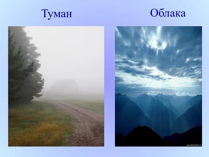 Туман Облака