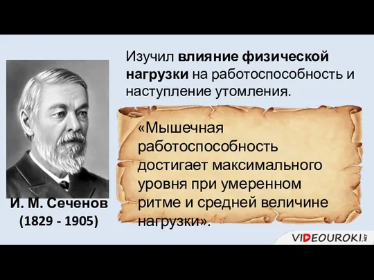 «Мышечная работоспособность достигает максимального уровня при умеренном ритме и средней величине нагрузки». И.