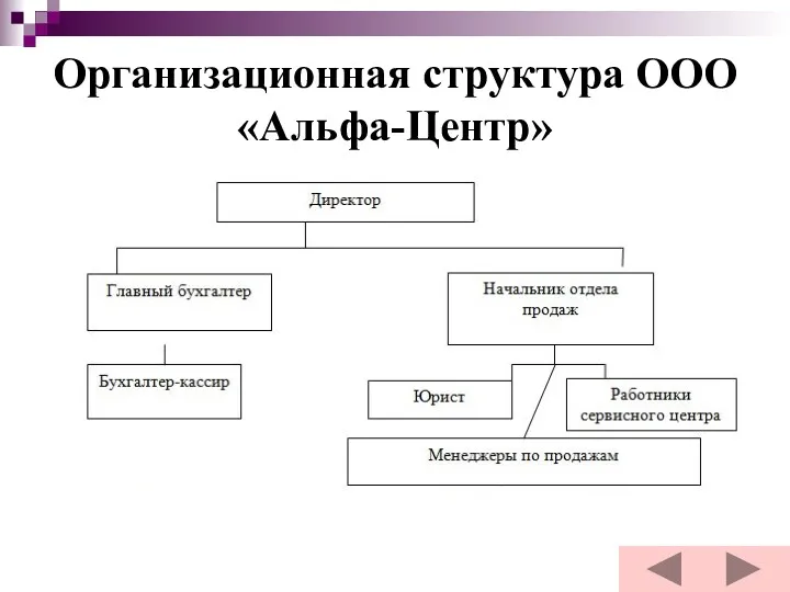 Организационная структура ООО «Альфа-Центр»