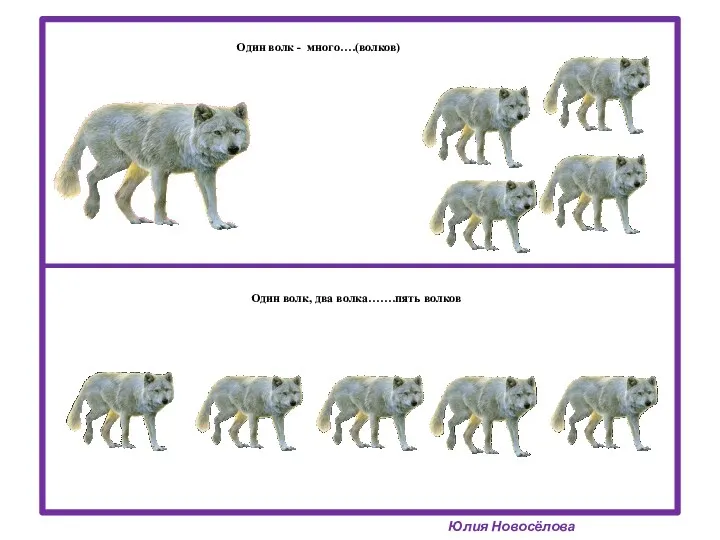 Один волк - много….(волков) Юлия Новосёлова Один волк, два волка…….пять волков
