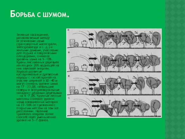 БОРЬБА С ШУМОМ. Зеленые насаждения, располагаемые между источниками шума (транспортные