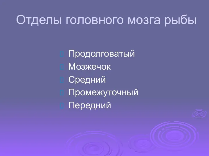 Отделы головного мозга рыбы Продолговатый Мозжечок Средний Промежуточный Передний