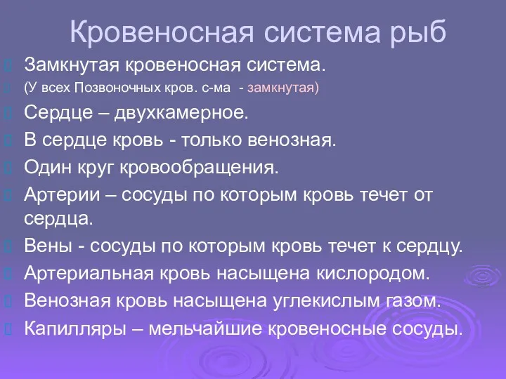 Кровеносная система рыб Замкнутая кровеносная система. (У всех Позвоночных кров.