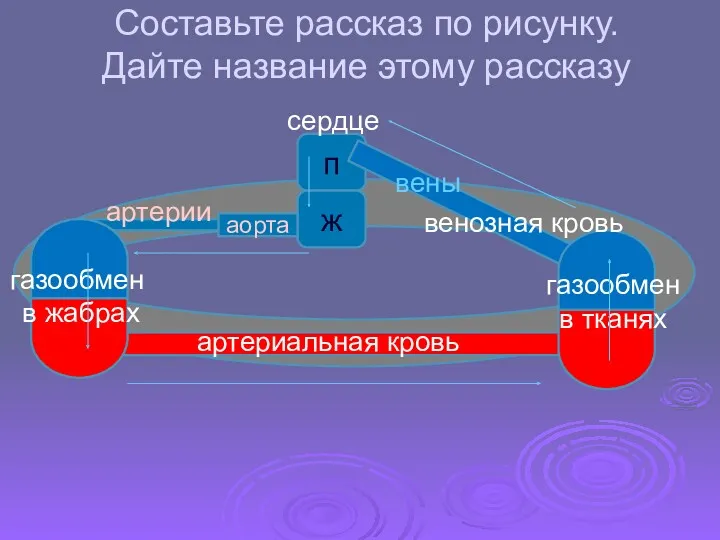 Составьте рассказ по рисунку. Дайте название этому рассказу п ж