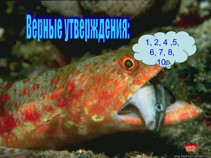 1, 2, 4 ,5, 6, 7, 8, 10. Верные утверждения: