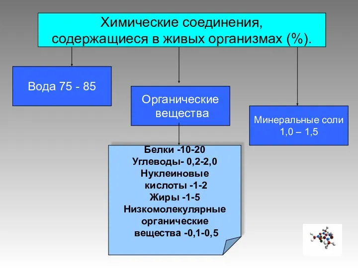 Химические соединения, содержащиеся в живых организмах (%). Вода 75 -