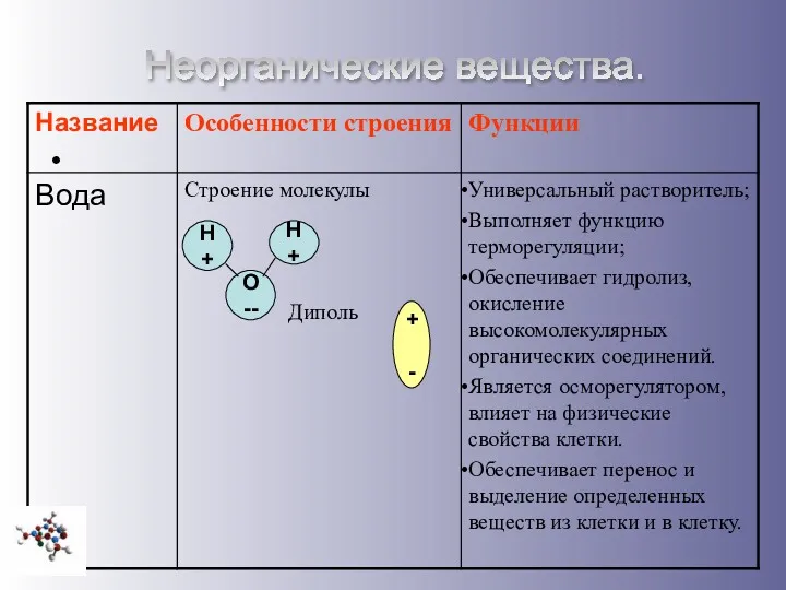 Неорганические вещества. Н+ О-- Н+ + -