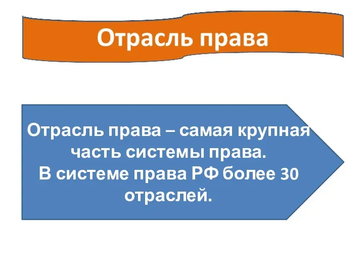 Отрасль права – самая крупная часть системы права. В системе права РФ более 30 отраслей.
