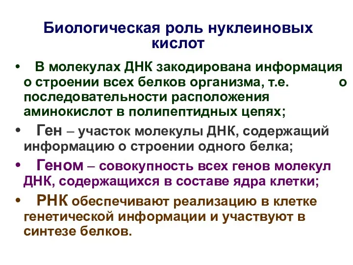 Биологическая роль нуклеиновых кислот В молекулах ДНК закодирована информация о