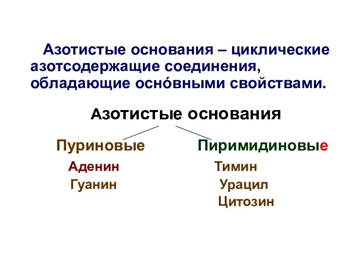 Азотистые основания – циклические азотсодержащие соединения, обладающие оснóвными свойствами. Азотистые