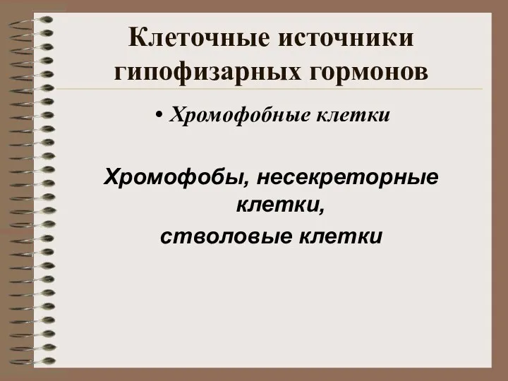 Клеточные источники гипофизарных гормонов Хромофобные клетки Хромофобы, несекреторные клетки, стволовые клетки