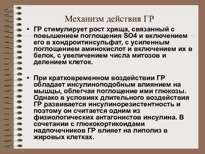 Механизм действия ГР ГР стимулирует рост хряща, связанный с повышением