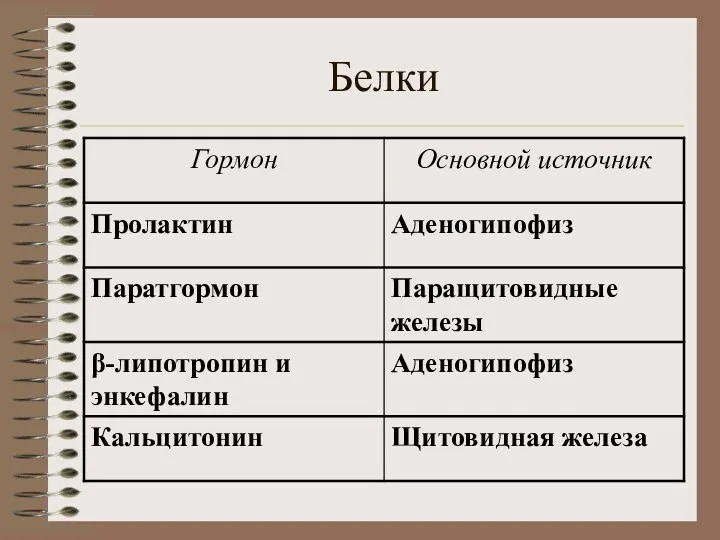 Белки