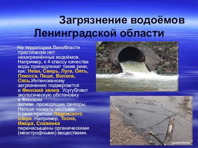 Загрязнение водоёмов Ленинградской области На территории Ленобласти практически нет незагрязнённых