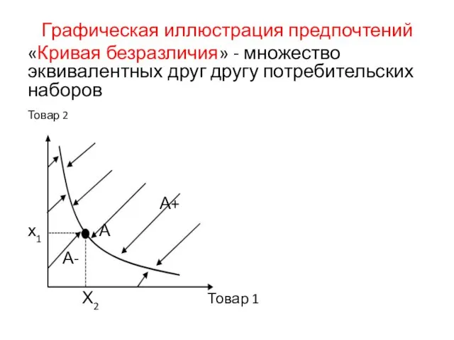 Графическая иллюстрация предпочтений «Кривая безразличия» - множество эквивалентных друг другу