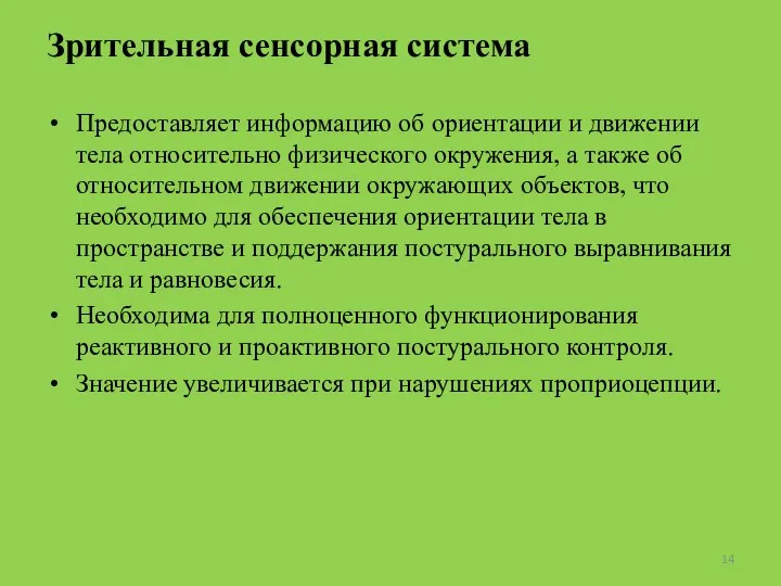 Зрительная сенсорная система Предоставляет информацию об ориентации и движении тела