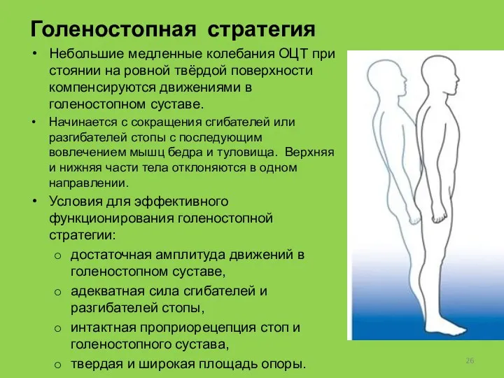 Голеностопная стратегия Небольшие медленные колебания ОЦТ при стоянии на ровной