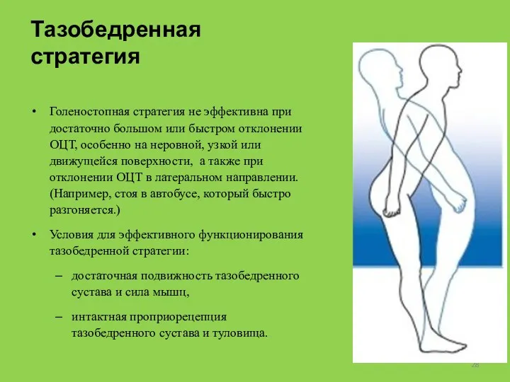 Тазобедренная стратегия Голеностопная стратегия не эффективна при достаточно большом или