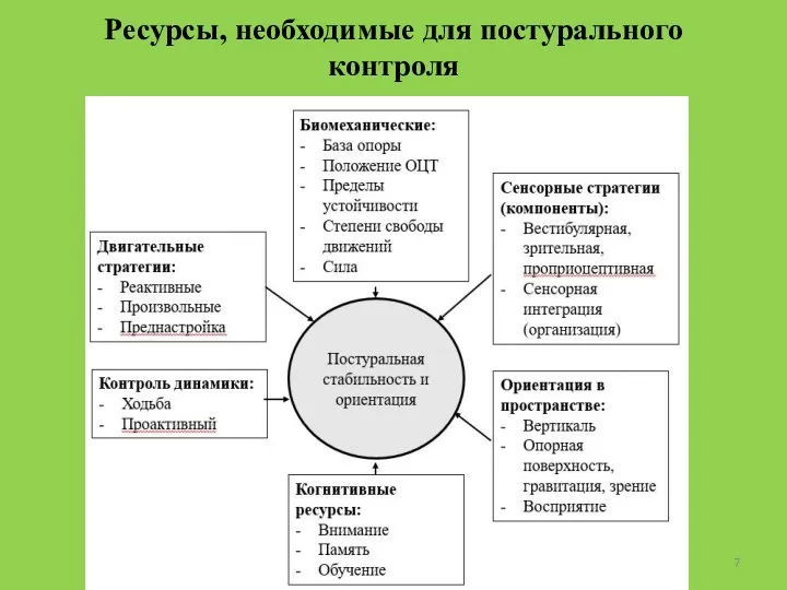 Ресурсы, необходимые для постурального контроля