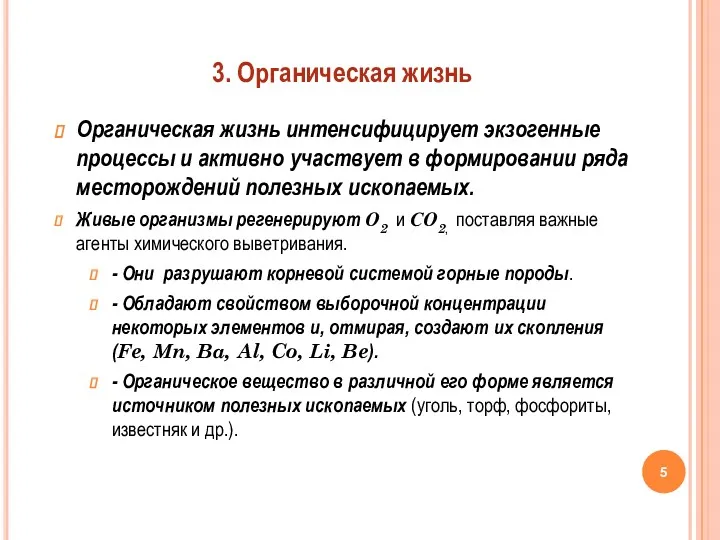 Органическая жизнь интенсифицирует экзогенные процессы и активно участвует в формировании