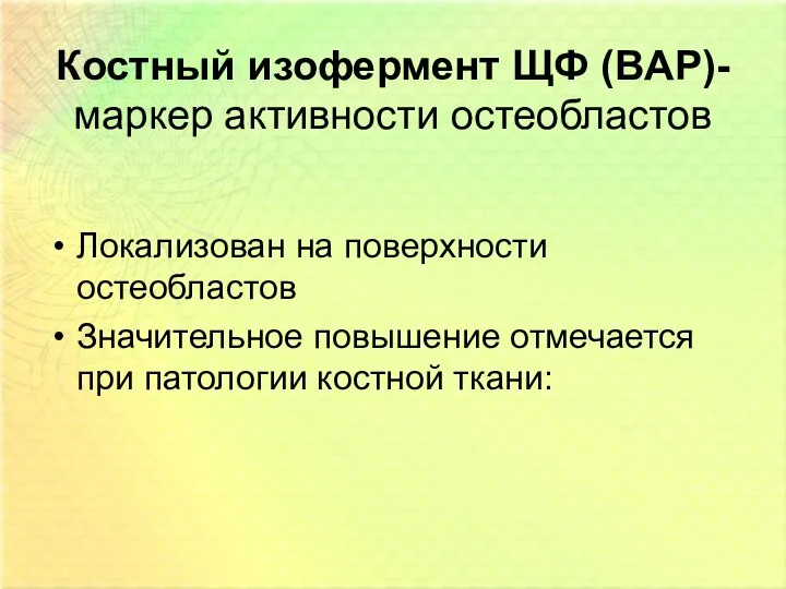 Костный изофермент ЩФ (BAP)- маркер активности остеобластов Локализован на поверхности