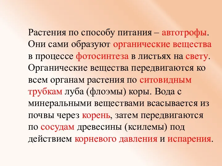 Растения по способу питания – автотрофы. Они сами образуют органические